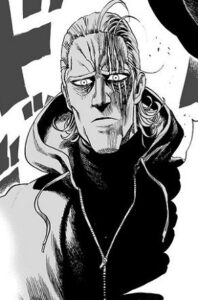 king, personaje de one punch man, héroes clase S