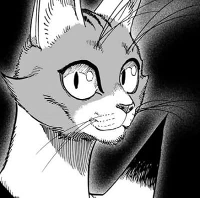 nyan, personaje que no aparece oficialmente en el web comic