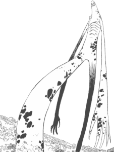 albion seven deadly sins