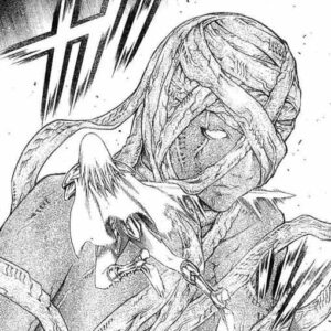 hilda claymore despertada