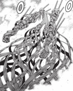 riful del oeste forma final